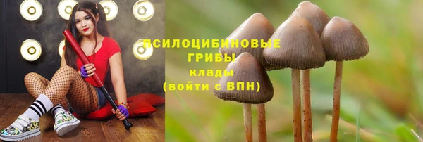 гидропоника Каменск-Шахтинский