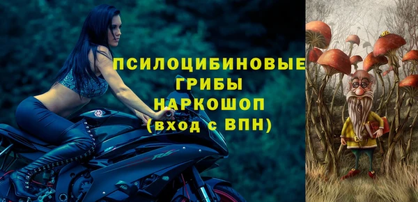 MDMA Каменногорск