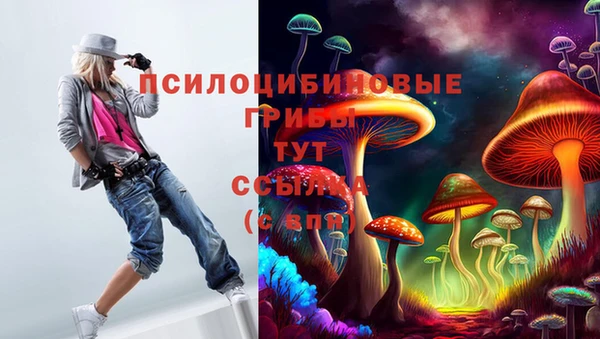 MDMA Каменногорск