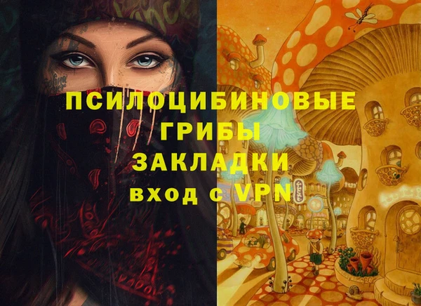 MDMA Каменногорск
