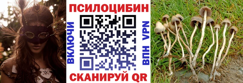 Псилоцибиновые грибы мухоморы  Купить закладки  Большой Камень 